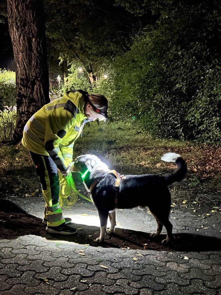 Mitglied der S.A.R. Suchhundestaffel Nordwest bei einer nächtlichen Übung mit Stirnlampe, reflektierender Einsatzkleidung und einem Suchhund mit Leuchthalsband.