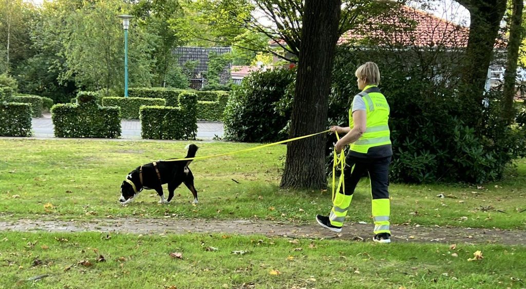 Hundeführerin der S.A.R. Staffel Nordwest mit Suchhund an langer Leine bei der Spurensuche in einem Parkbereich.