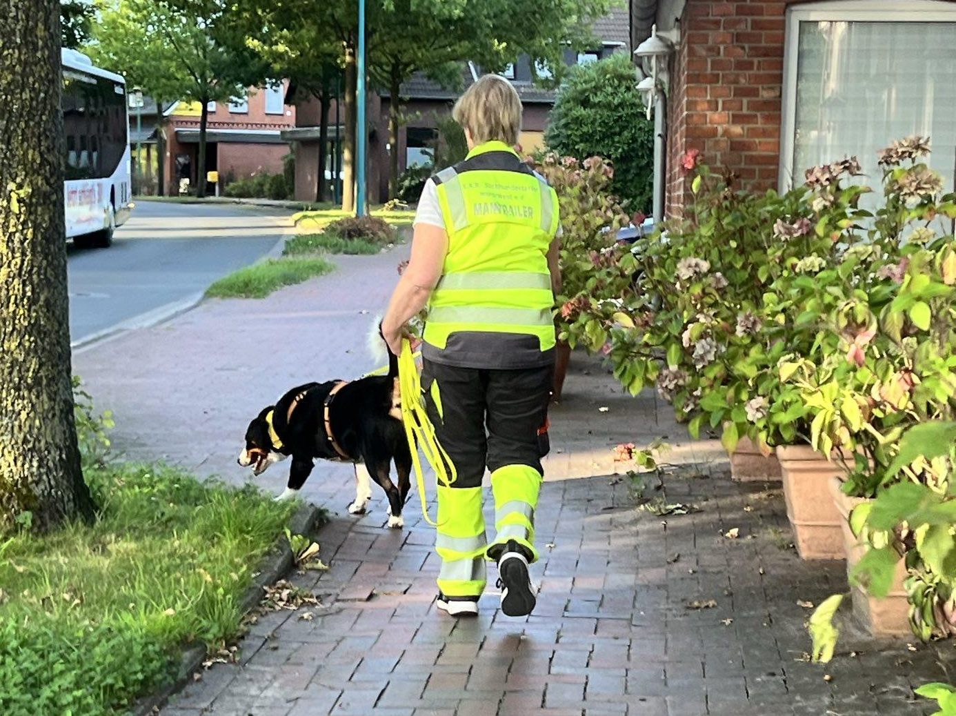 Mitglied der S.A.R. Suchhundestaffel Nordwest mit einem Suchhund bei einer Maintrailing-Übung in einem Wohngebiet.